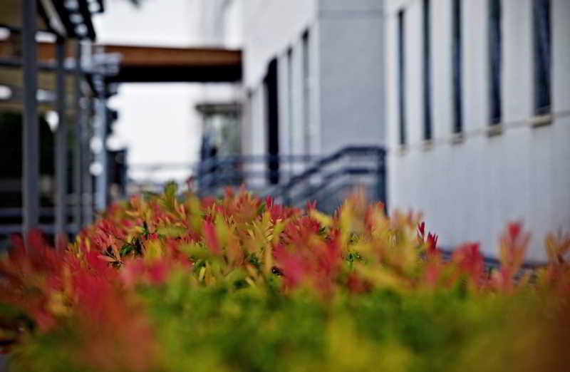 Apartamentos Vertice Sevilla Aljarafe Bormujos Ngoại thất bức ảnh